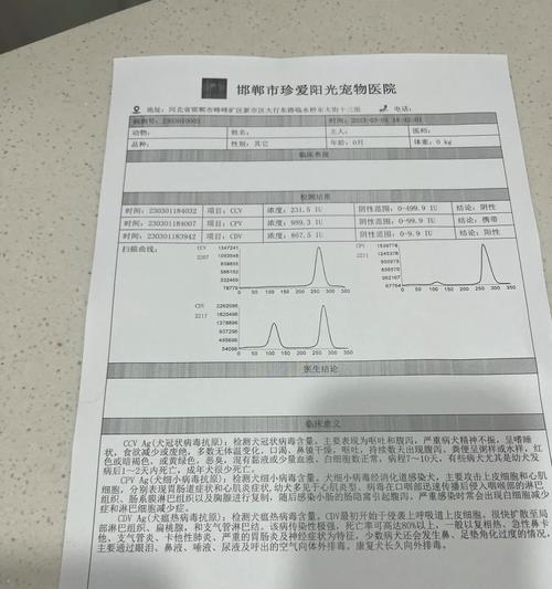 文章详情图片