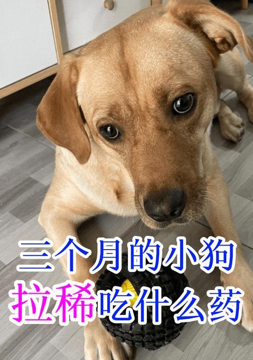 文章详情图片