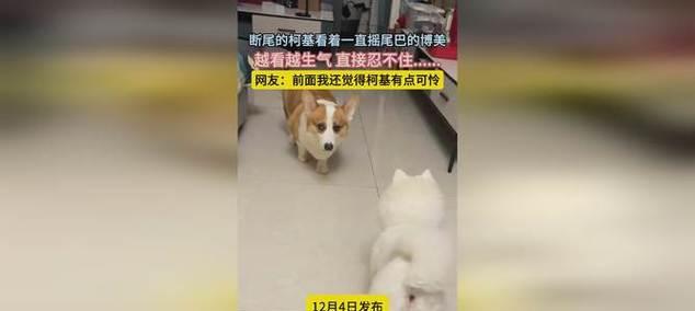 文章详情图片