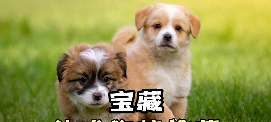 文章详情图片