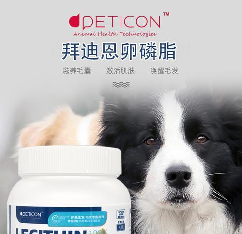 文章详情图片