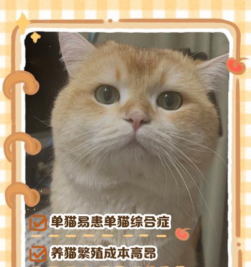文章详情图片
