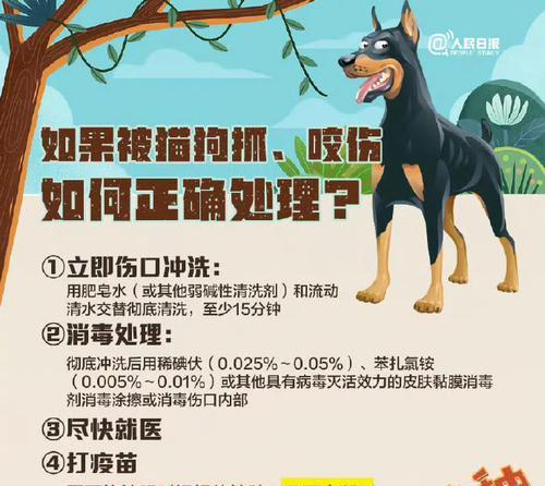 文章详情图片