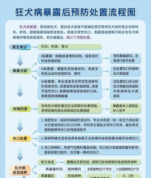 狗狗疫苗接种指南（打疫苗前后应注意的重要手续）