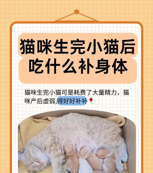 文章详情图片