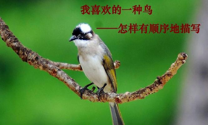 文章详情图片