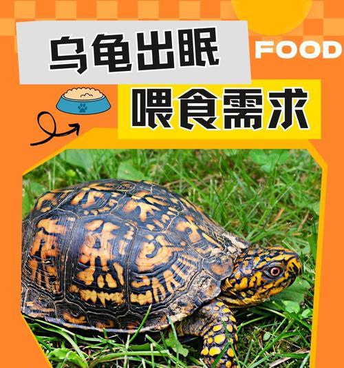 文章详情图片