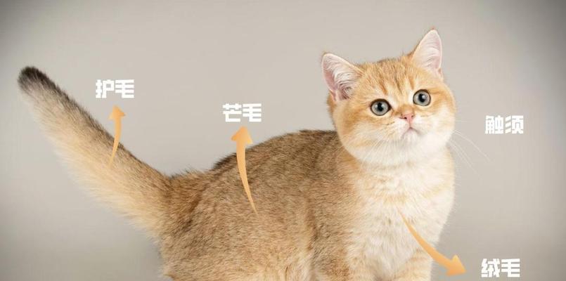 文章详情图片