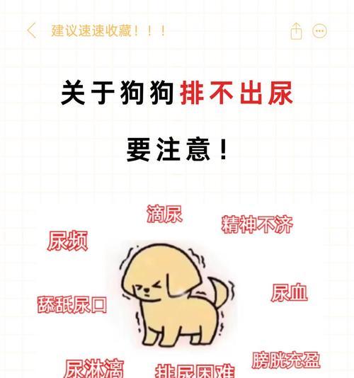 文章详情图片