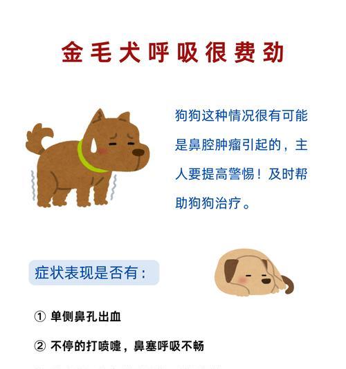 文章详情图片