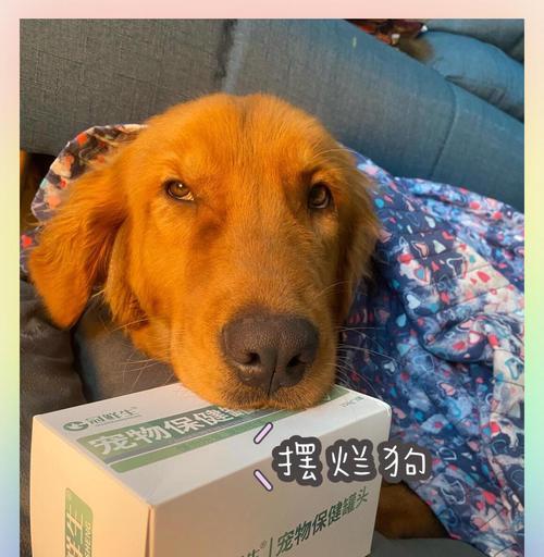 文章详情图片