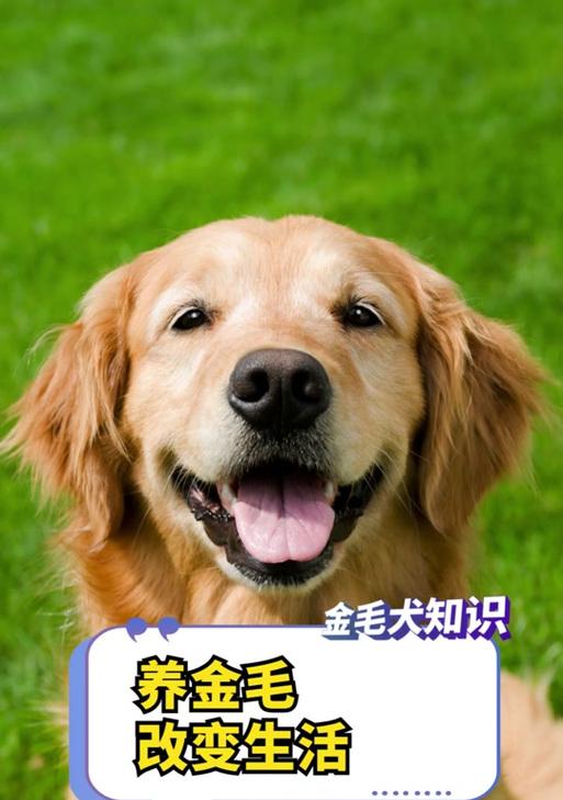 文章详情图片