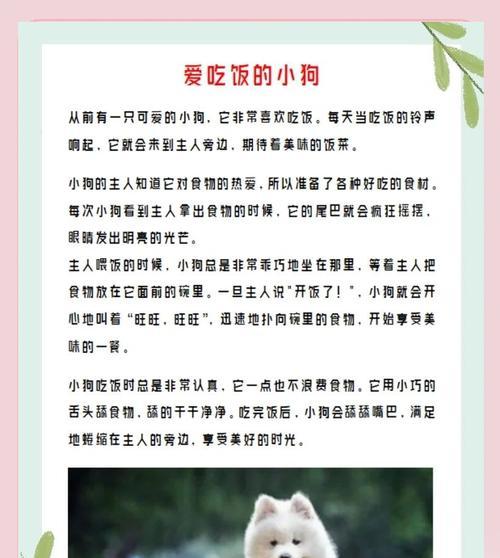 文章详情图片