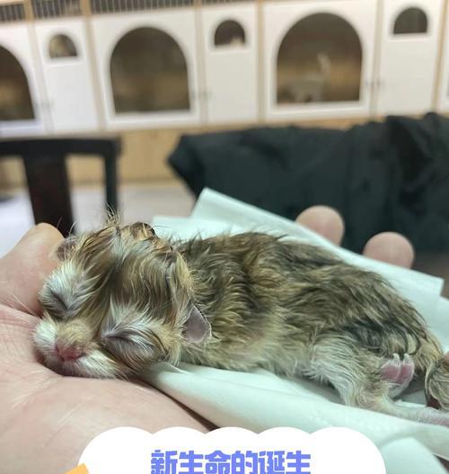 文章详情图片