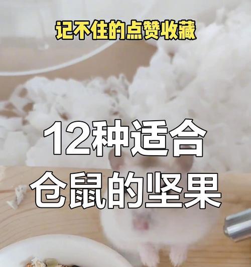 文章详情图片