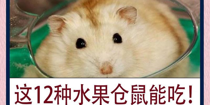 文章详情图片