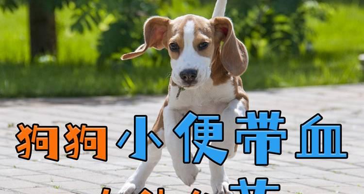 文章详情图片