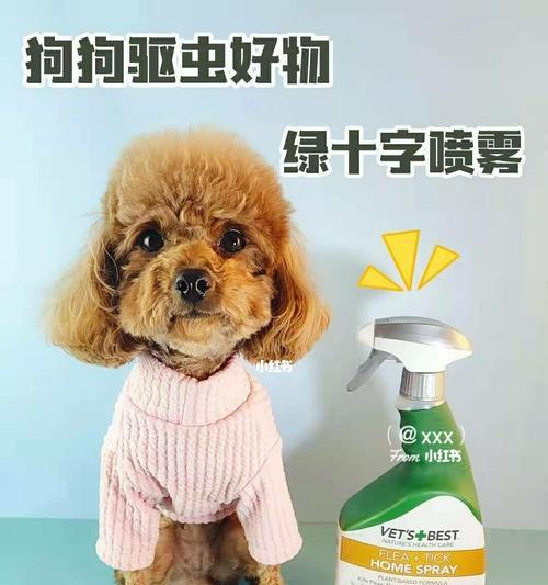 文章详情图片