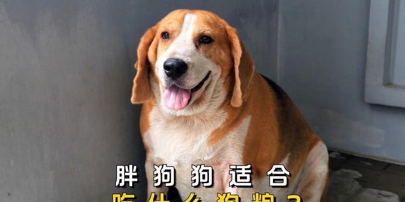 文章详情图片