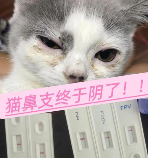 文章详情图片