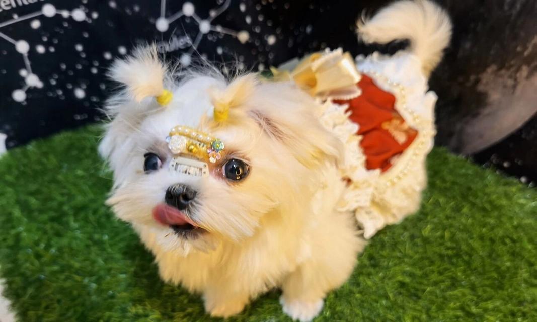 文章详情图片