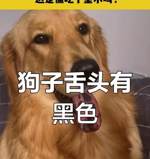 文章详情图片