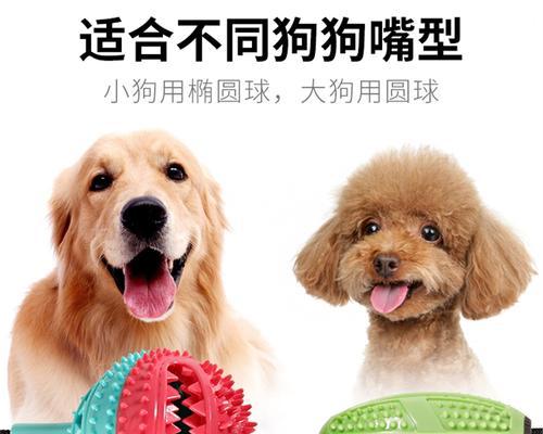 文章详情图片