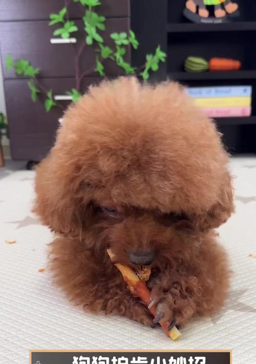 文章详情图片
