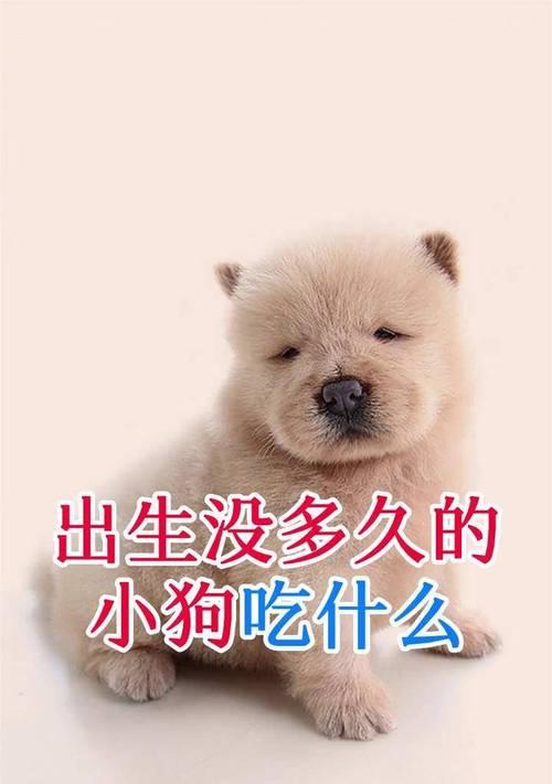 文章详情图片
