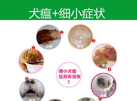 文章详情图片