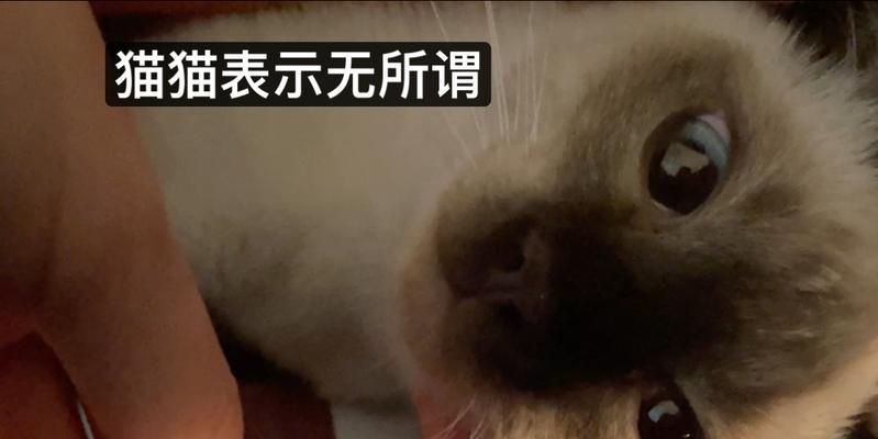 文章详情图片
