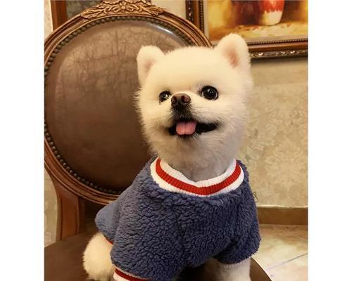 文章详情图片