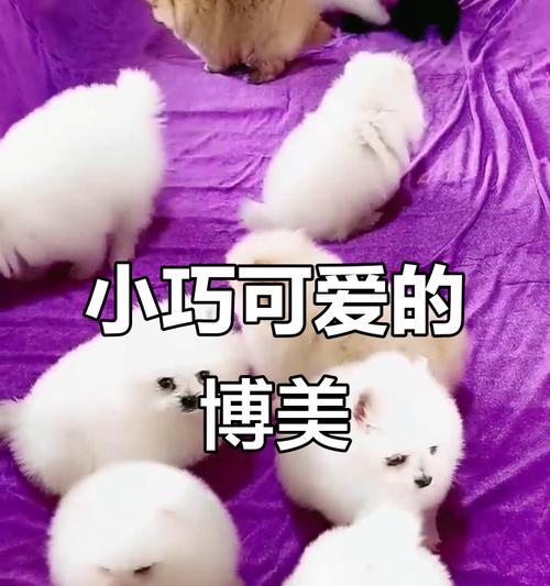 文章详情图片