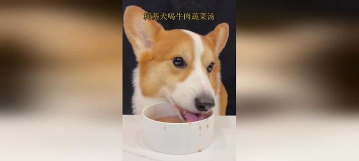 文章详情图片