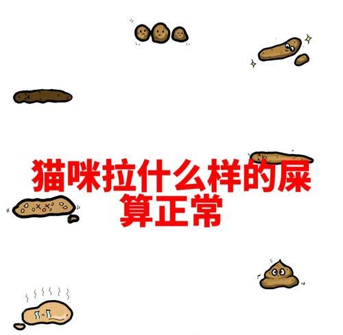 文章详情图片