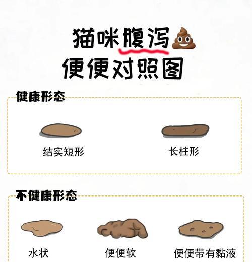 文章详情图片