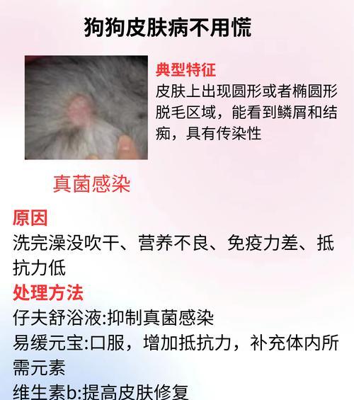 文章详情图片
