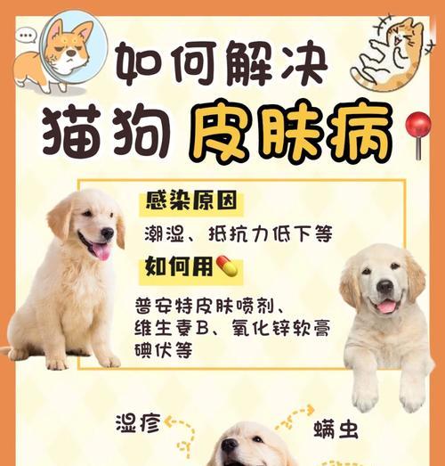 文章详情图片
