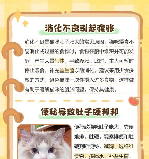 文章详情图片