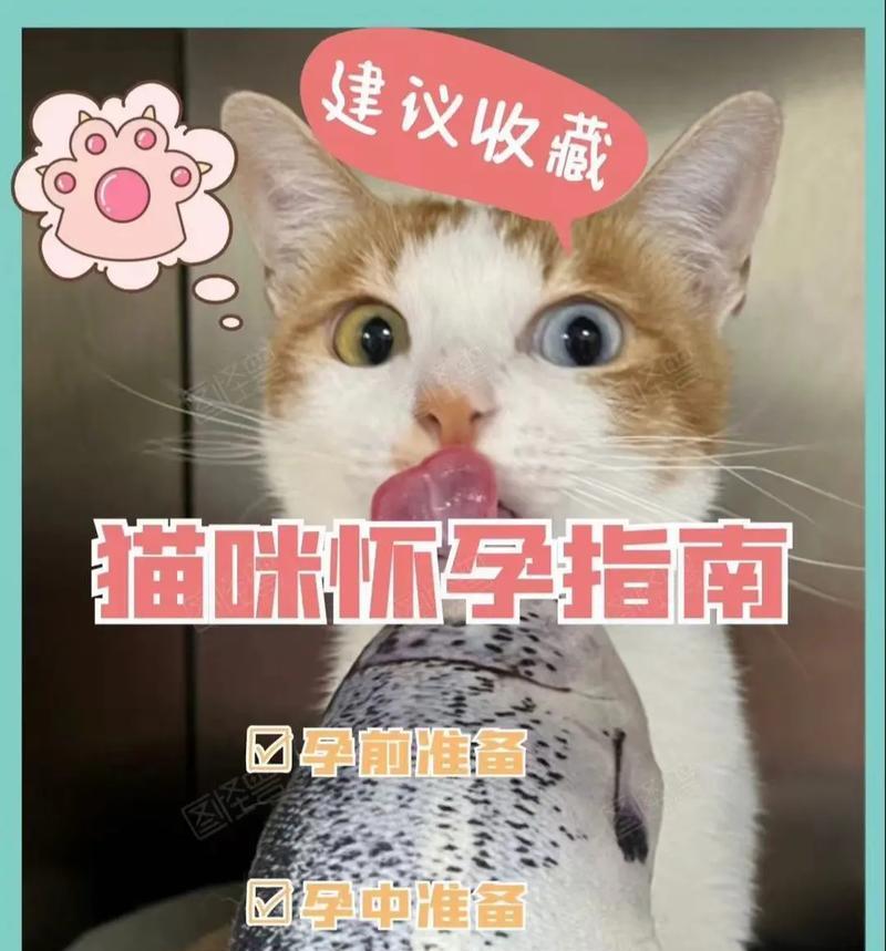 文章详情图片