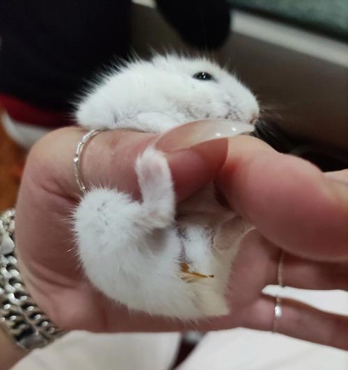 文章详情图片