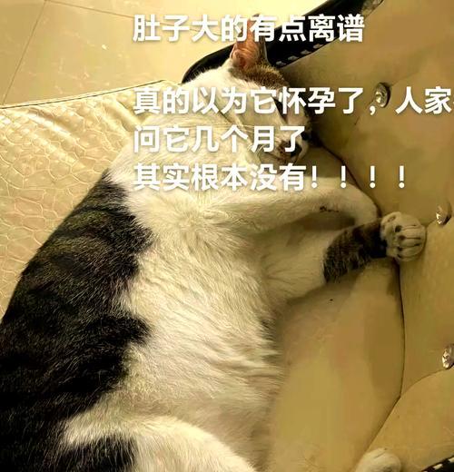 文章详情图片