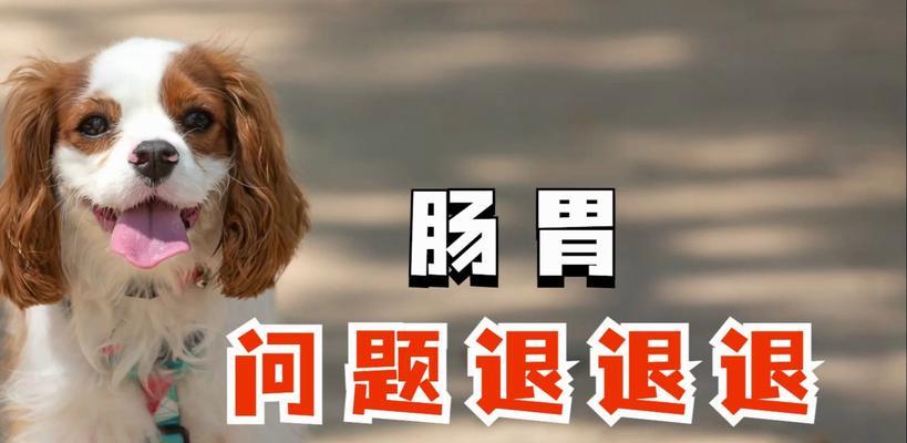 文章详情图片
