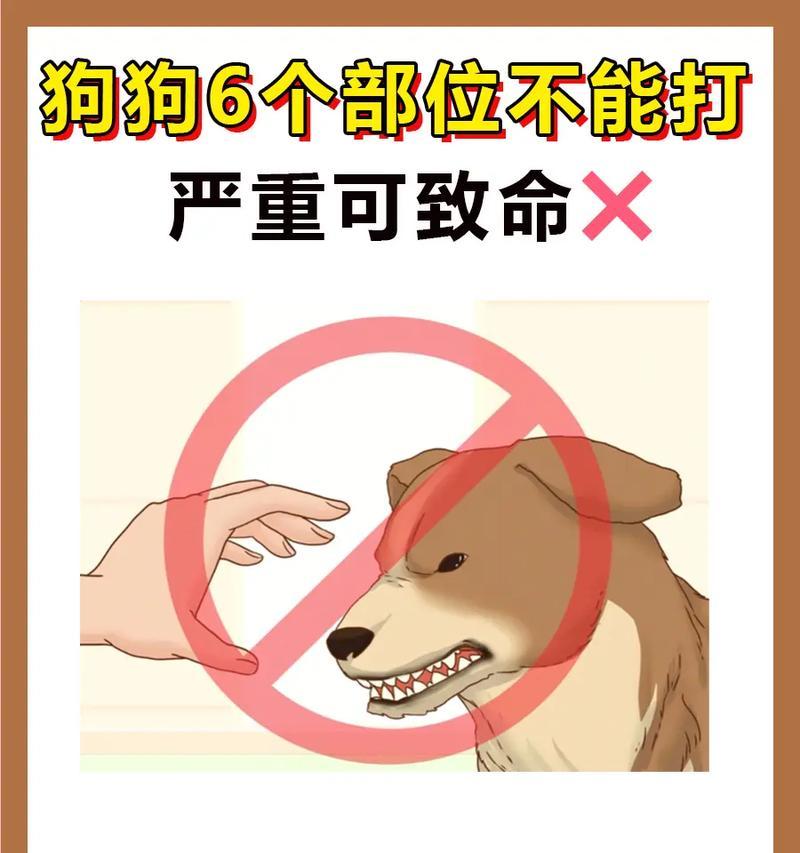 文章详情图片
