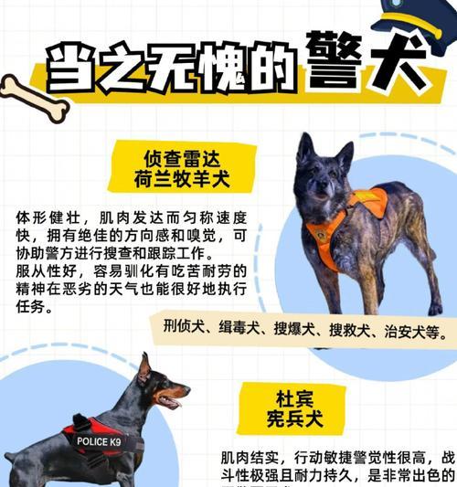 文章详情图片