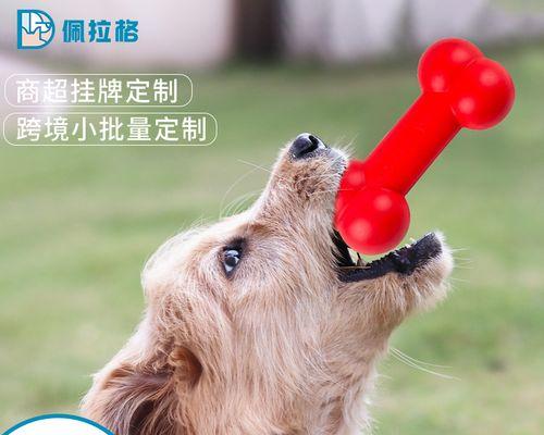 文章详情图片