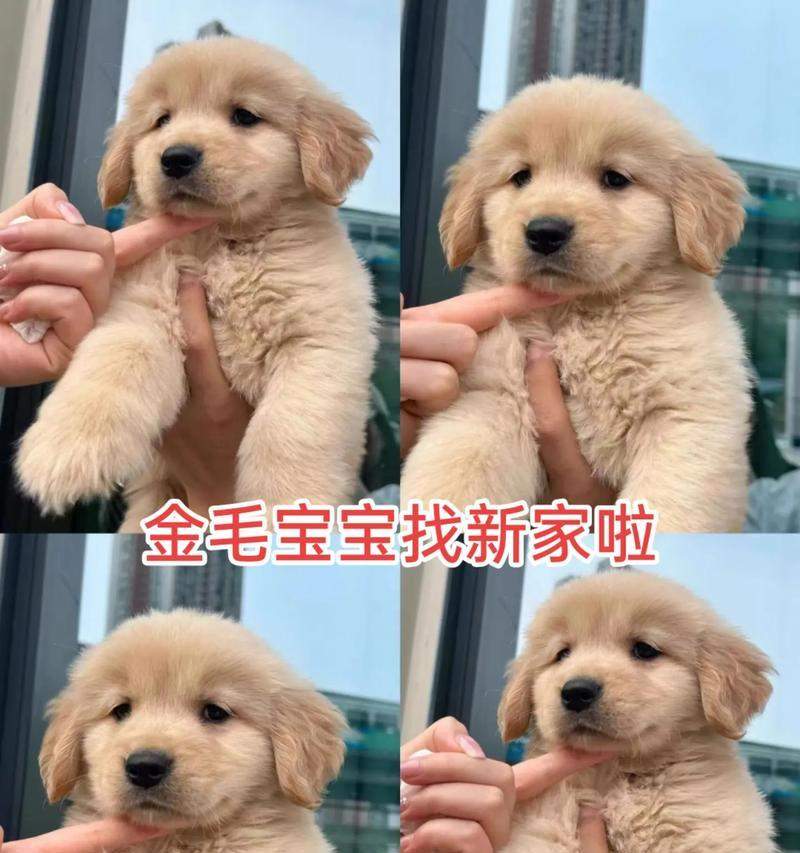 文章详情图片