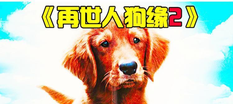 文章详情图片