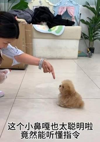 文章详情图片