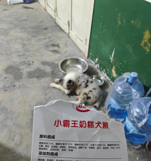 文章详情图片